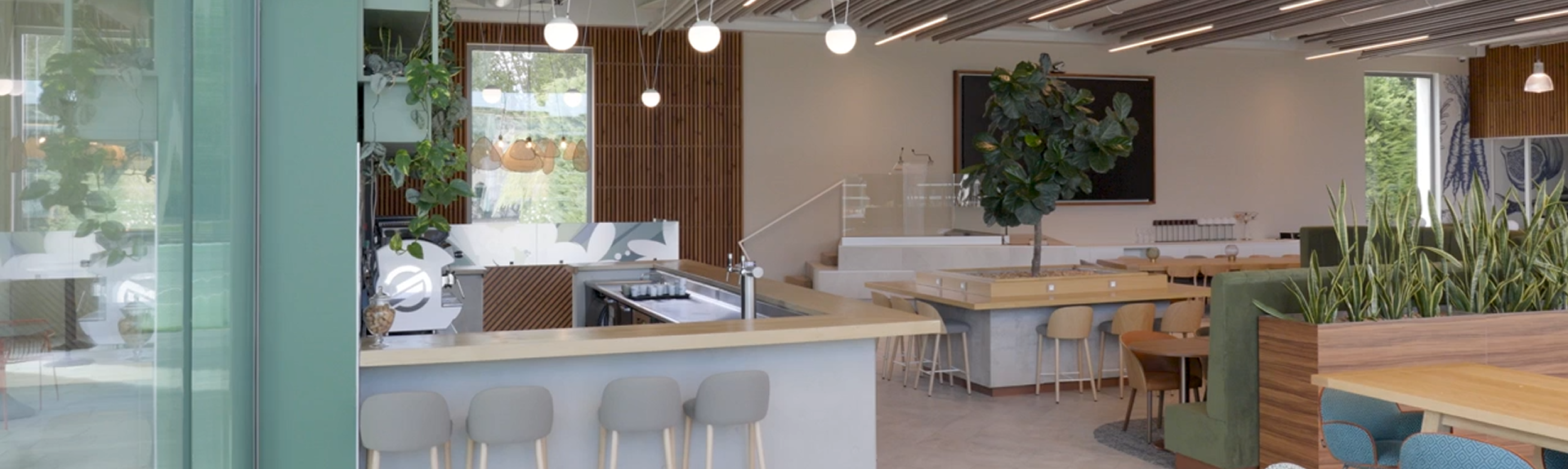 Modern collaborative workspace interior