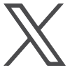 x-icon